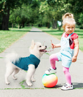 Handsome Dog Polo Shirt - Stylish T-Shirt for Small & Medium Boys, Perfect for All Seasons (Blue, XS)