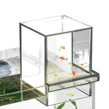 Small Aquarium Fish Tank   