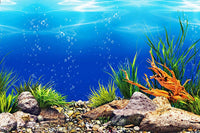 Aquarium Background Poster - High Definition Water Plants Fish Tank Decor Landscape - Double Sided - 16" x 40"