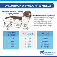 "Veterinarian Approved Dachshund Wheelchair for Small Dogs 2-30+ Pounds - Support Your Pup's Mobility!"