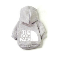 Dog Couture: Stylish Clothing for Large and Small Dogs