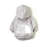 Dog Couture: Stylish Clothing for Large and Small Dogs