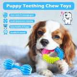 "Fun Pack of Teething Toys for Small Puppies and Dogs"