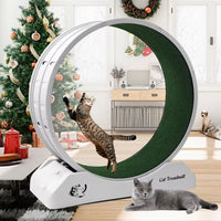 Revolutionary Cat Treadmill Wheel - Keep Your Kitty Active and Healthy with Carpeted Runway Fun!