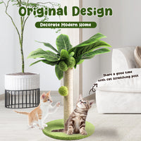 ```Indoor Cat Scratching Post with Sisal Rope and Green Leaves Design```