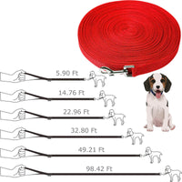 Professional Dog Training Leash for Long Distance Recall      