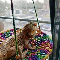 "Handwoven Lizard Hammock Swing - Fun Pet Nest for Reptiles and Small Animals"