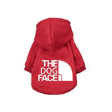 Dog Couture: Stylish Clothing for Large and Small Dogs