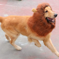 "Realistic Lion Mane Costume for Medium to Large Dogs - Perfect for Halloween Fun!"