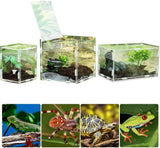 Acrylic Reptile Breeding Box with Magnetic Closure and 360 Degree Visibility