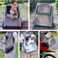 Stylish & Functional Bubble Backpack Pet Carrier for Cats and Dogs 