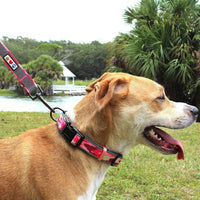 Camo Pink Dog Collar with Reflective and Padded Features for Medium to Large Dogs