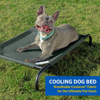 Original Cooling Elevated Dog Bed - Medium, Indoor & Outdoor