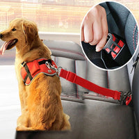 "Safe & Secure Adjustable Dog Car Seat Belt For Dog Traveling  in Car. 