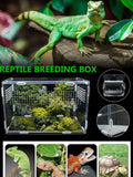 "Acrylic Reptile Breeding Box: Ideal for Spiders, Lizards, Scorpions, and Insects!"