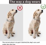 "Gold Adjustable Dog Prong Collar with Comfort Rubber Tips - Ideal for Small to Large Dogs"