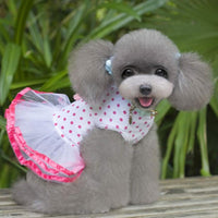 Professional title: "Pet Dress: Dog Clothes Printed Lace Skirt Tutu Princess Dress (XS, White)"