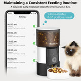 Automatic 3L Dog & Cat Food Dispenser HD Camera with  Night Vision   