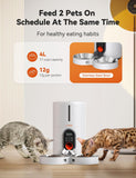 Automatic 2 Cats or Dogs Dispenser Feeders            