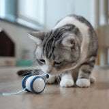 Interactive USB Charging Electric Moving Cat or Small Dog Toy 