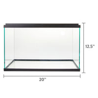 10-Gallon Glass Aquarium Starter Kit