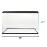 10-Gallon Glass Aquarium Starter Kit