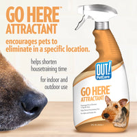 "Petcare Go Here Attractant - Ultimate Dog Training Spray, 32oz"