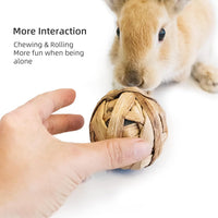 Small Animal Play and Activity Balls for Rabbits, Guinea Pigs, and Chinchillas