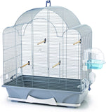 "Splash Bird Cage Baths: Keep Your Bird Clean and Happy!"