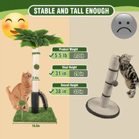 Professional title: "38" Tall Green Cat Scratching Post for Indoor Cats with Dangling Ball and Spring Ball"