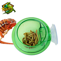 Chameleon, Lizard, Bearded Dragons and Geckos Feeding Bowl & Water Dish with Suction Cup   Pets Feeding Bowl