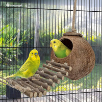 Cozy Natural Coconut Bird Hideaway House with Ladder 