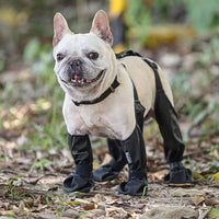 Ultimate Waterproof Dog Boots with Anti-Slip Rugged Rubber Sole - Perfect Paw Protectors for Small & Medium Dogs