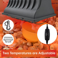 Ultimate Chicken Coop Heater - 250W with 2 Extra Lamps 🐣