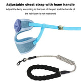 Elegant Bowknot Cat Harness and Leash Set