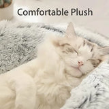 Cozy 2-in-1 Winter Plush Cat & Small Dog Bed & Sleep Bag 