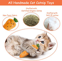 Interactive Catnip Toy Set for Cats - Includes Chew Toys, Pillow Toys, and Interactive Toys for Indoor Kitties