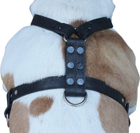 Genuine Leather Dog Harness   