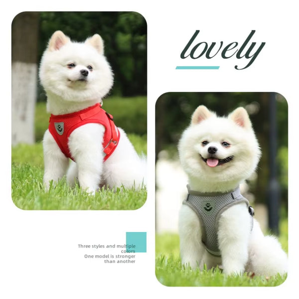 Adjustable Reflective Dog Harness and Leash Set           