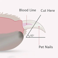 "LED Light Pet Nail Clippers: Professional Grooming Scissors for Dogs, Cats, and Small Animals"