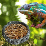 Versatile 11XA Reptile Feeding Bowl - Perfect Mealworm Dish for Frogs, Geckos, Snakes, Spiders, and Turtles