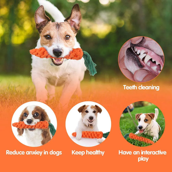 5 Pieces Dog Chewable Toys For Cleaner Teeth, Safe Durable Teething Chewing Braided Toys        