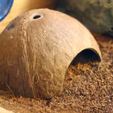 Natural Shell Small Animal Cave House - Perfect Hideout for Small Pets!