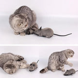 Wireless Remote Control Cat Toy with Simulation Mouse - Interactive Funny Cat Toy