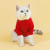 Cute Cat Sweaters 