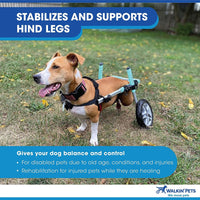 "Veterinarian Approved Dachshund Wheelchair for Small Dogs 2-30+ Pounds - Support Your Pup's Mobility!"