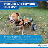 "Veterinarian Approved Dachshund Wheelchair for Small Dogs 2-30+ Pounds - Support Your Pup's Mobility!"