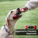 Indestructible Dog Toys for Aggressive Chewers - Interactive Bone Toy for Large & Medium Dogs 