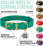 Leather Dog Collar with Metal Buckle Durable Basic 