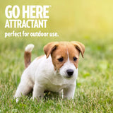 "Petcare Go Here Attractant - Ultimate Dog Training Spray, 32oz"